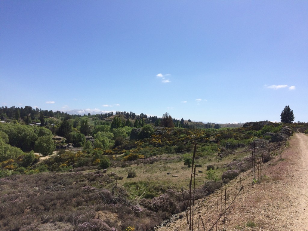 Otago Central Rail Trail